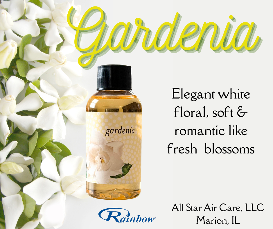 Gardenia - Basic Rainbow Fragrance