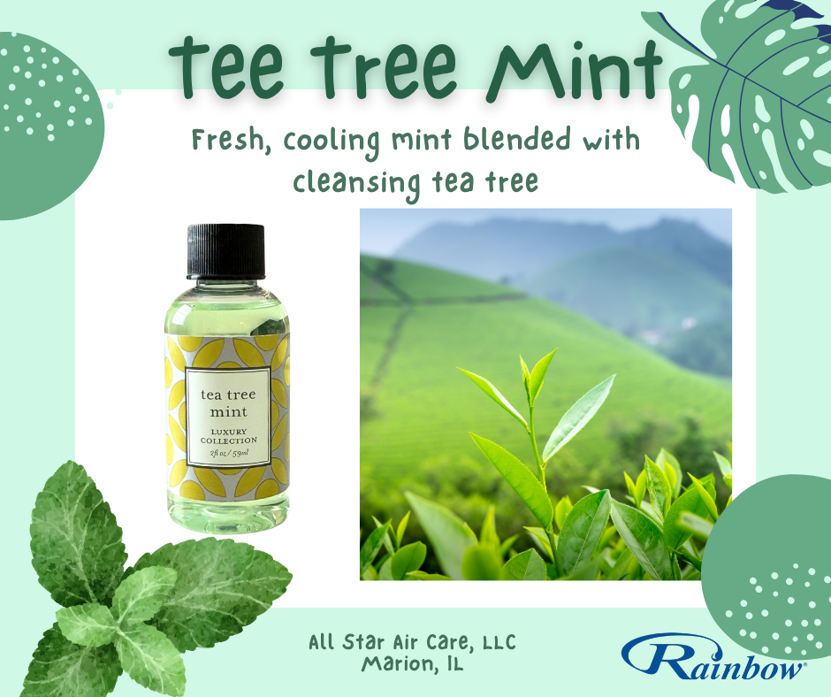 Tea Tree Mint - Luxury Rainbow Fragrance's