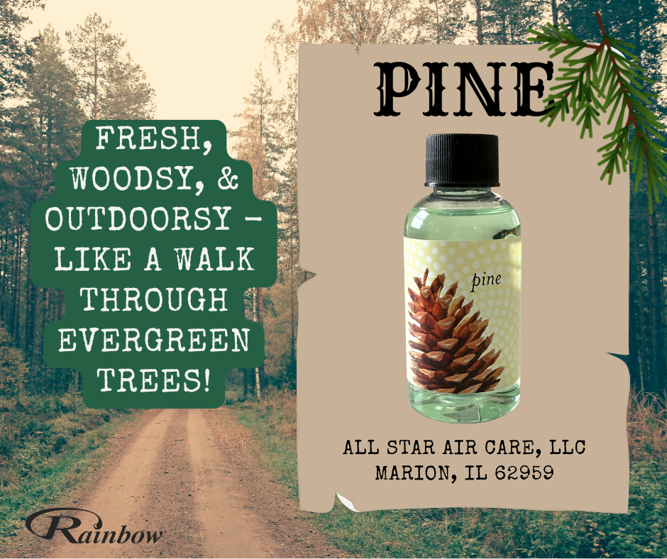 Pine - Basic Rainbow Fragrance